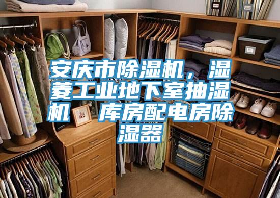 安慶市除濕機，濕菱工業(yè)地下室抽濕機  庫房配電房除濕器