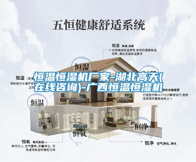 恒溫恒濕機(jī)廠家-湖北高天(在線(xiàn)咨詢(xún))-廣西恒溫恒濕機(jī)