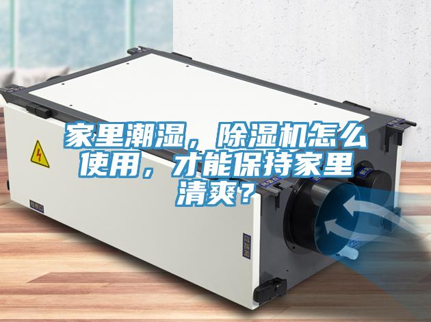 家里潮濕，除濕機(jī)怎么使用，才能保持家里清爽？