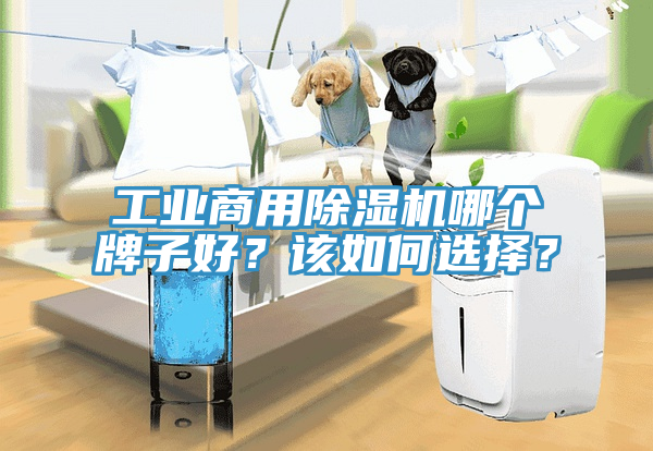 工業(yè)商用除濕機哪個牌子好？該如何選擇？