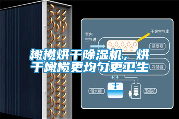 橄欖烘干除濕機(jī)，烘干橄欖更均勻更衛(wèi)生