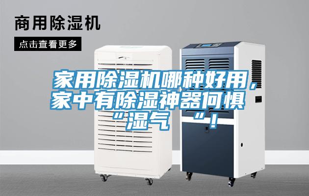 家用除濕機(jī)哪種好用，家中有除濕神器何懼 “濕氣 “！