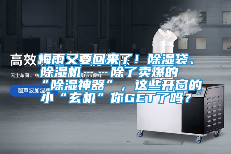 梅雨又要回來了！除濕袋、除濕機……除了賣爆的“除濕神器”，這些開窗的小“玄機”你GET了嗎？