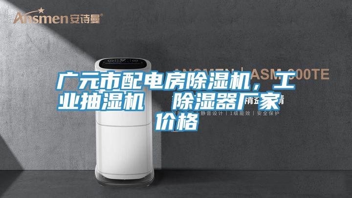 廣元市配電房除濕機，工業(yè)抽濕機  除濕器廠家 價格