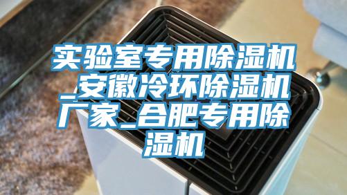 實(shí)驗(yàn)室專(zhuān)用除濕機(jī)_安徽冷環(huán)除濕機(jī)廠家_合肥專(zhuān)用除濕機(jī)
