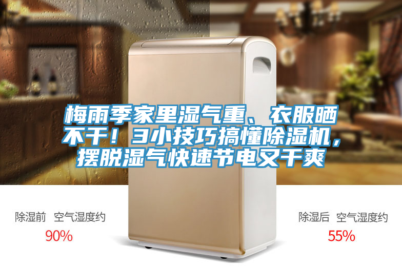梅雨季家里濕氣重、衣服曬不干！3小技巧搞懂除濕機(jī)，擺脫濕氣快速節(jié)電又干爽