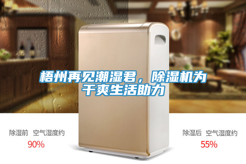 梧州再見潮濕君，除濕機(jī)為干爽生活助力