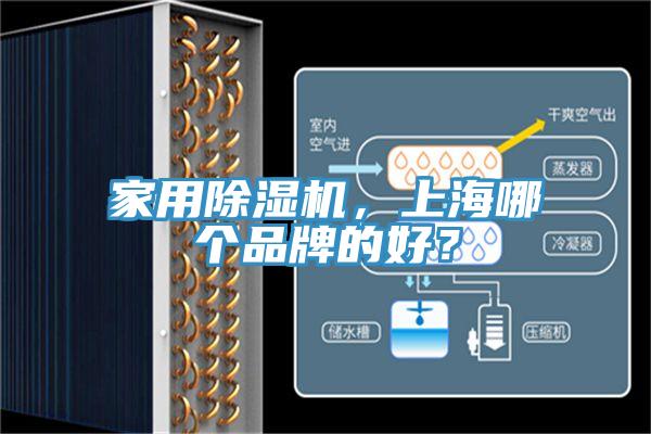 家用除濕機，上海哪個品牌的好？