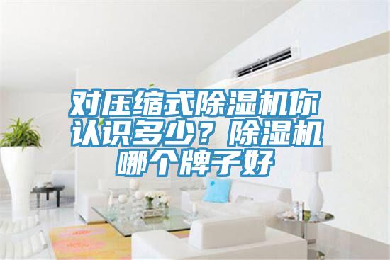 對壓縮式除濕機(jī)你認(rèn)識多少？除濕機(jī)哪個牌子好