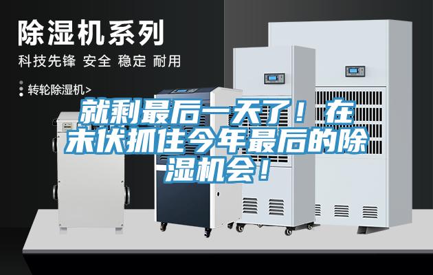 就剩最后一天了！在末伏抓住今年最后的除濕機會！