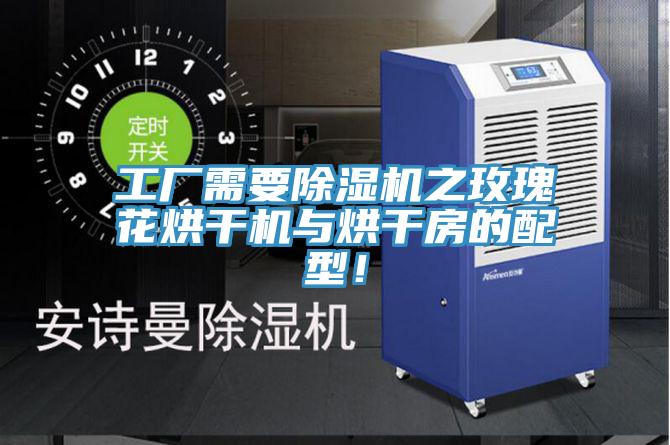 工廠需要除濕機之玫瑰花烘干機與烘干房的配型！