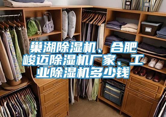 巢湖除濕機(jī)、合肥峻邁除濕機(jī)廠家、工業(yè)除濕機(jī)多少錢