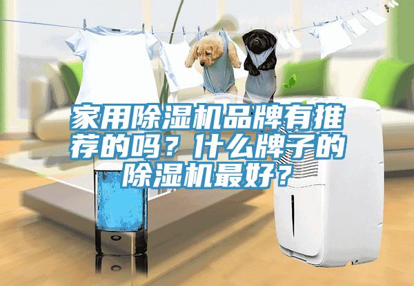 家用除濕機(jī)品牌有推薦的嗎？什么牌子的除濕機(jī)最好？