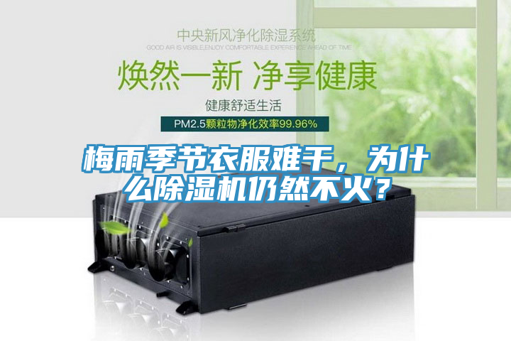 梅雨季節(jié)衣服難干，為什么除濕機(jī)仍然不火？
