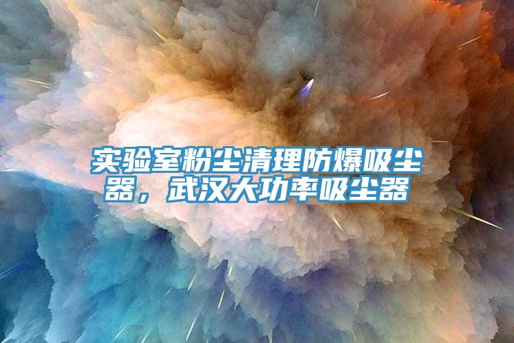 實(shí)驗(yàn)室粉塵清理防爆吸塵器，武漢大功率吸塵器