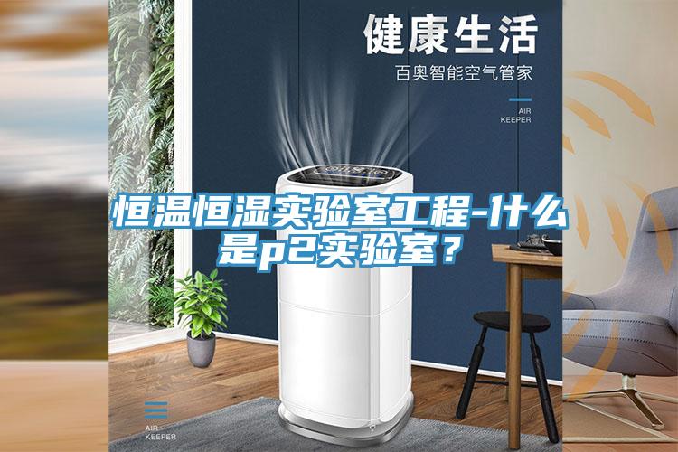 恒溫恒濕實(shí)驗(yàn)室工程-什么是p2實(shí)驗(yàn)室？