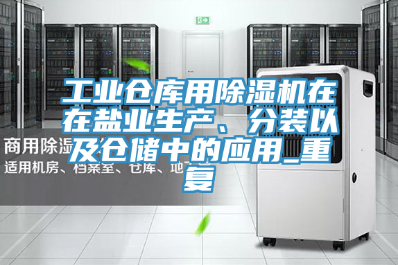 工業(yè)倉庫用除濕機在在鹽業(yè)生產(chǎn)、分裝以及倉儲中的應(yīng)用_重復