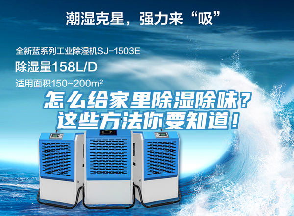 怎么給家里除濕除味？這些方法你要知道！
