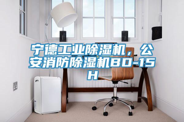 寧德工業(yè)除濕機，公安消防除濕機BD-15H