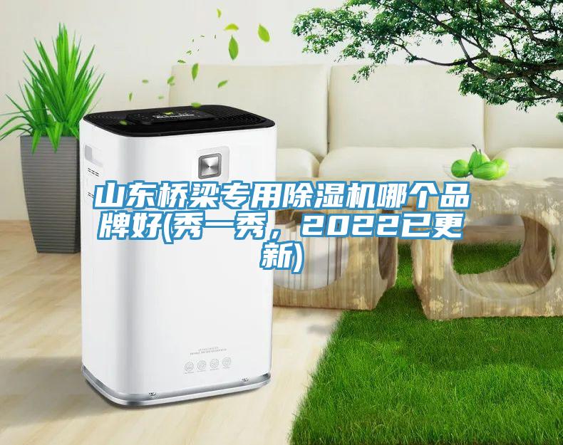 山東橋梁專用除濕機(jī)哪個(gè)品牌好(秀一秀，2022已更新)