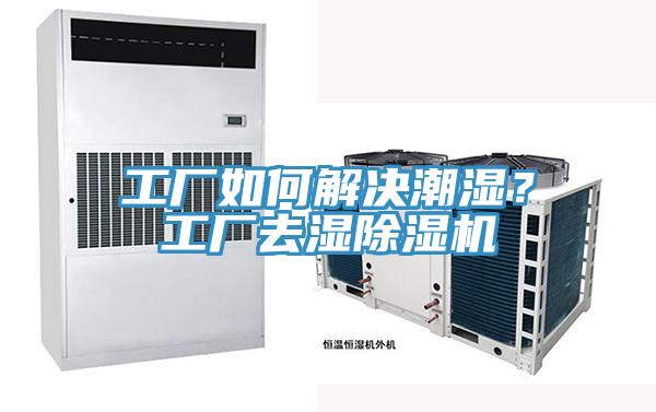 工廠如何解決潮濕？工廠去濕除濕機(jī)