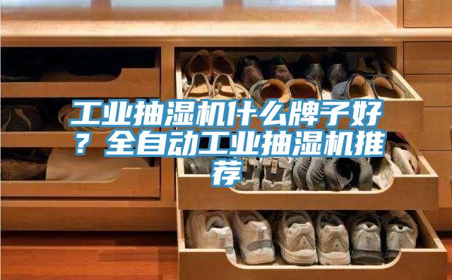 工業(yè)抽濕機(jī)什么牌子好？全自動(dòng)工業(yè)抽濕機(jī)推薦