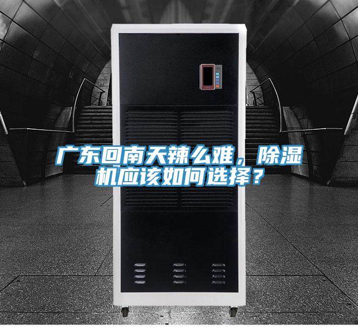 廣東回南天辣么難，除濕機應該如何選擇？