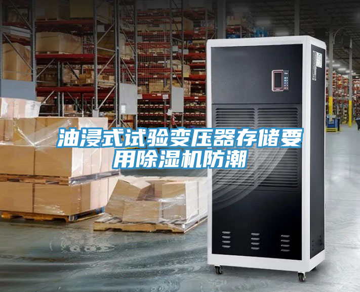 油浸式試驗(yàn)變壓器存儲要用除濕機(jī)防潮