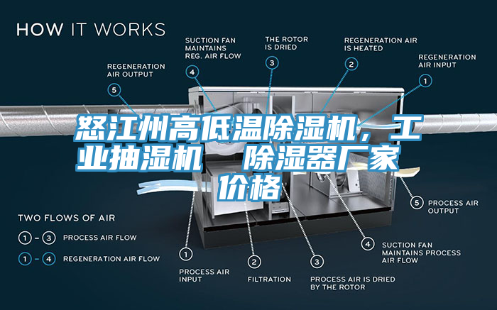 怒江州高低溫除濕機，工業(yè)抽濕機  除濕器廠家 價格
