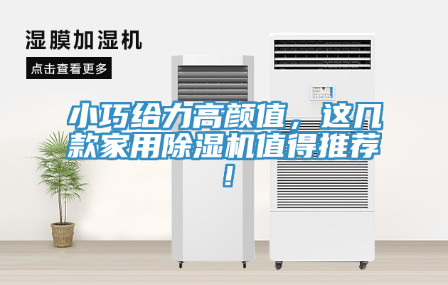 小巧給力高顏值，這幾款家用除濕機(jī)值得推薦！
