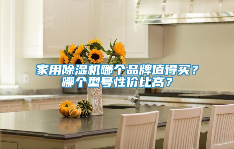 家用除濕機(jī)哪個品牌值得買？哪個型號性價比高？