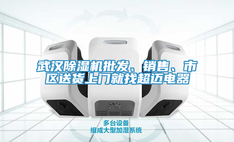 武漢除濕機批發(fā)、銷售、市區(qū)送貨上門就找超邁電器