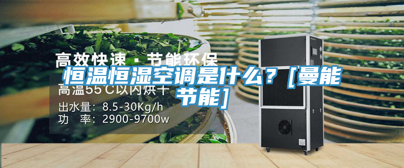 恒溫恒濕空調(diào)是什么？[曼能節(jié)能]
