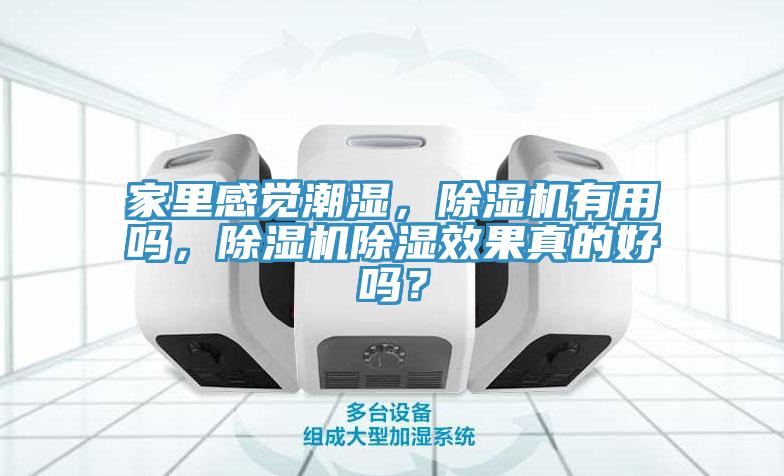 家里感覺潮濕，除濕機(jī)有用嗎，除濕機(jī)除濕效果真的好嗎？