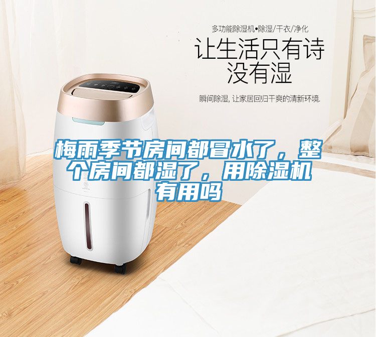 梅雨季節(jié)房間都冒水了，整個(gè)房間都濕了，用除濕機(jī)有用嗎