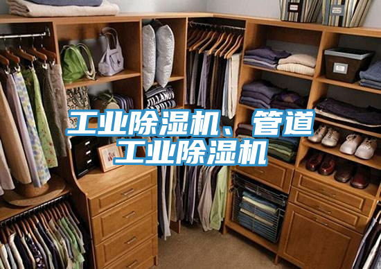工業(yè)除濕機(jī)、管道工業(yè)除濕機(jī)