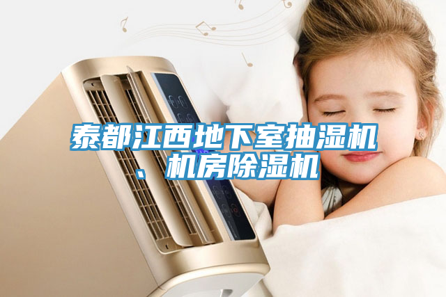 泰都江西地下室抽濕機(jī)、機(jī)房除濕機(jī)