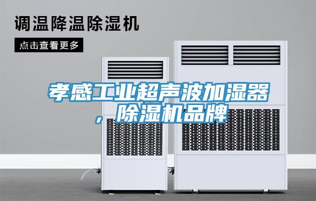 孝感工業(yè)超聲波加濕器，除濕機品牌