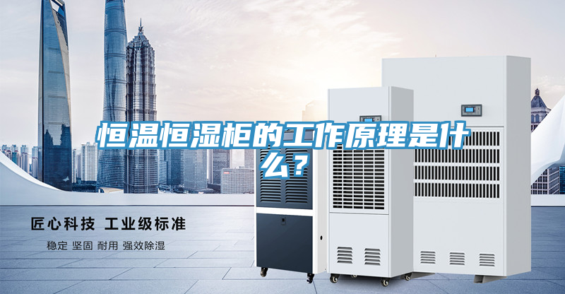 恒溫恒濕柜的工作原理是什么？