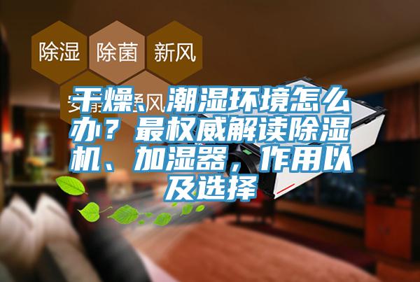 干燥、潮濕環(huán)境怎么辦？最權(quán)威解讀除濕機、加濕器，作用以及選擇