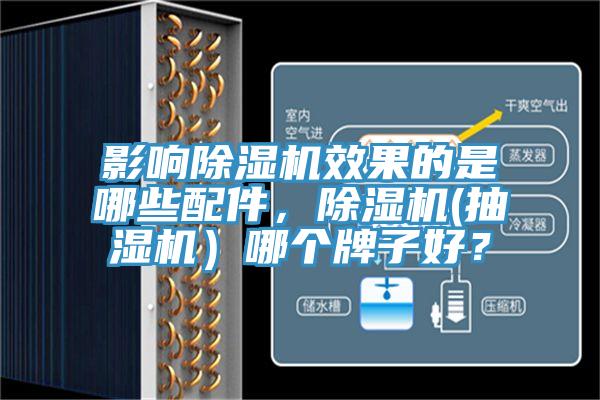 影響除濕機效果的是哪些配件，除濕機(抽濕機）哪個牌子好？