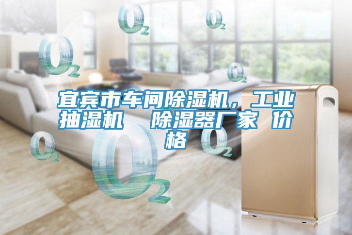 宜賓市車間除濕機(jī)，工業(yè)抽濕機(jī)  除濕器廠家 價(jià)格