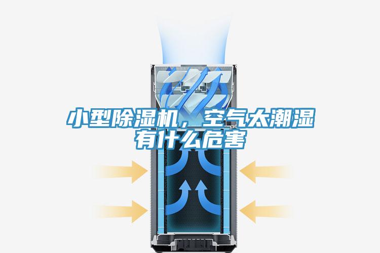 小型除濕機，空氣太潮濕有什么危害