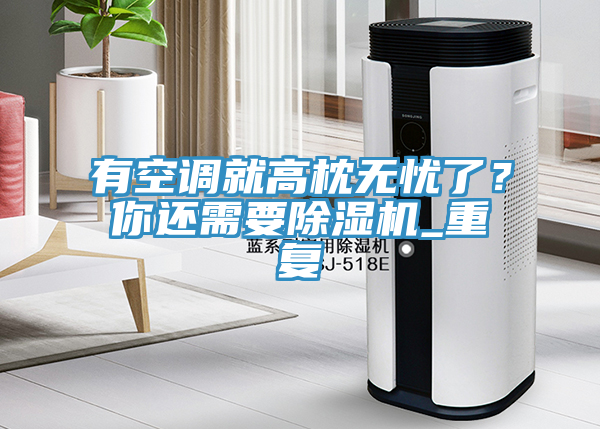 有空調(diào)就高枕無(wú)憂了？你還需要除濕機(jī)_重復(fù)