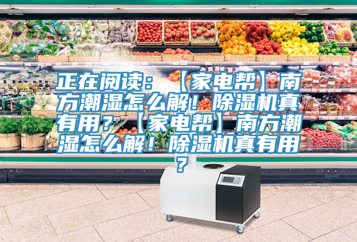 正在閱讀：【家電幫】南方潮濕怎么解！除濕機(jī)真有用？【家電幫】南方潮濕怎么解！除濕機(jī)真有用？