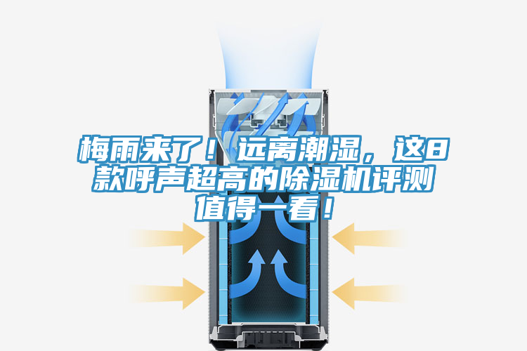 梅雨來了！遠(yuǎn)離潮濕，這8款呼聲超高的除濕機(jī)評測值得一看！