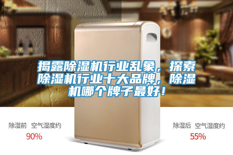 揭露除濕機(jī)行業(yè)亂象，探索除濕機(jī)行業(yè)十大品牌，除濕機(jī)哪個(gè)牌子最好！
