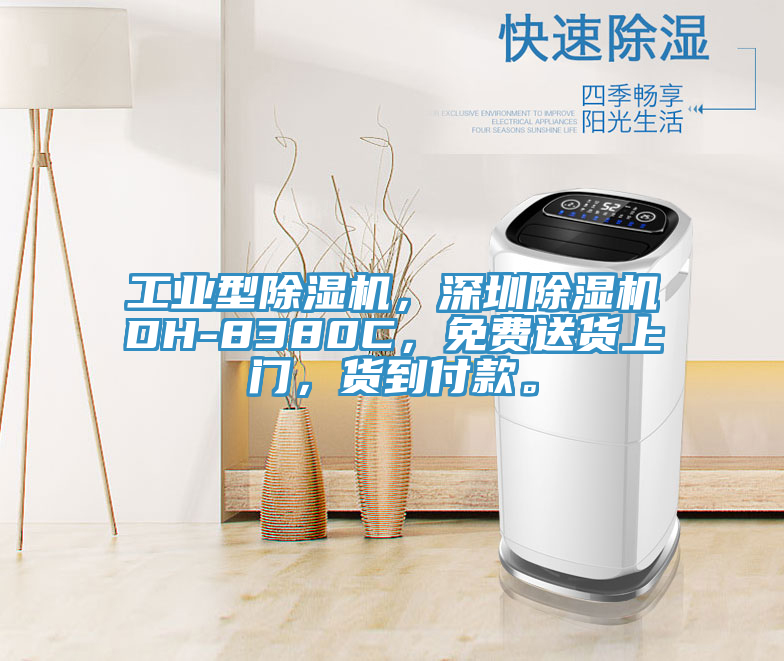 工業(yè)型除濕機，深圳除濕機DH-8380C，免費送貨上門，貨到付款。