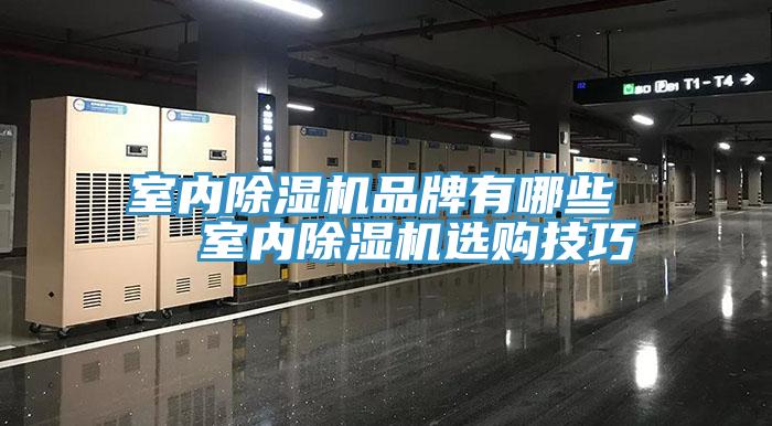 室內(nèi)除濕機(jī)品牌有哪些   室內(nèi)除濕機(jī)選購(gòu)技巧