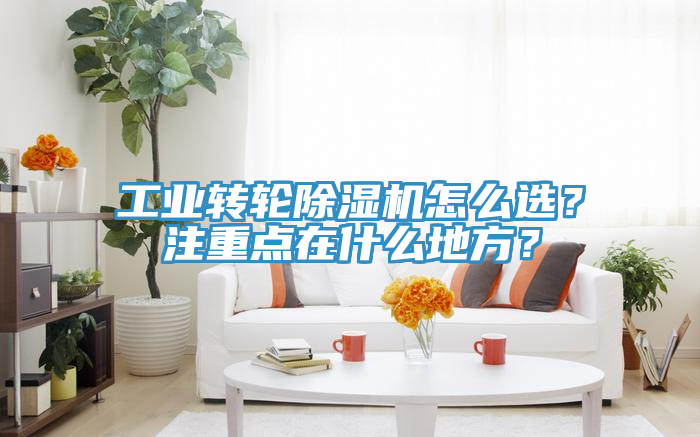 工業(yè)轉(zhuǎn)輪除濕機怎么選？注重點在什么地方？